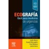 Ecografía fácil para medicina de urgencias