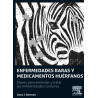 ENFERMEDADES RARAS Y MEDICAMENTOS HUERFANOS