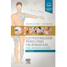 Albornoz Electroestimulación transcutánea neuromuscular y neuromodulación 2ed