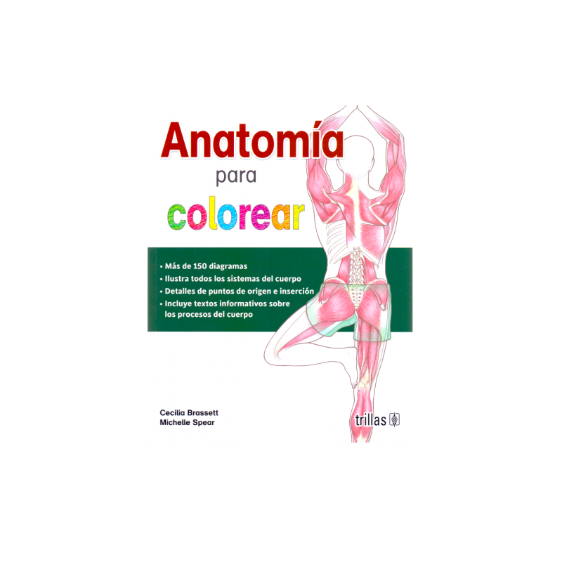 ANATOMIA PARA COLOREAR