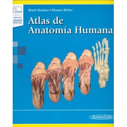 ATLAS DE ANATOMIA HUMANA